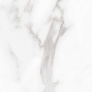 Carenza Bianca Matte 12 x 24