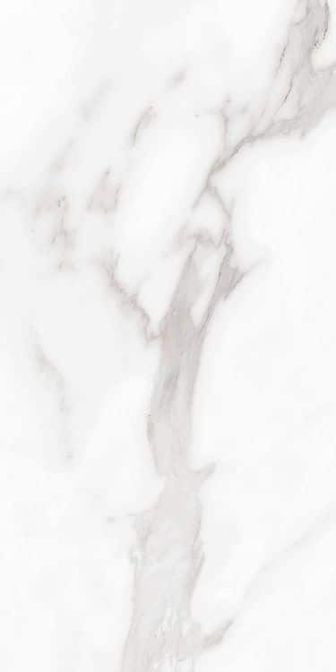 Carenza Bianca Matte 12 x 24