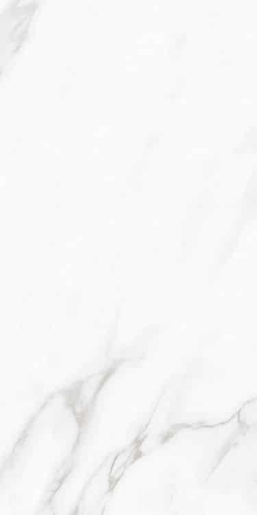 Carenza Bianca Polished 12 x 24