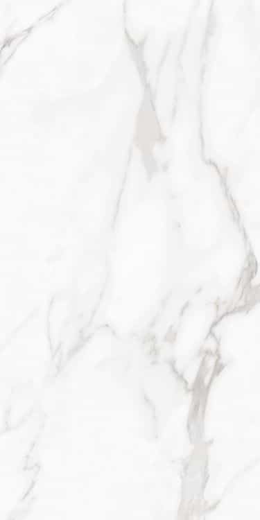 Carenza Bianca Polished 24 x 48