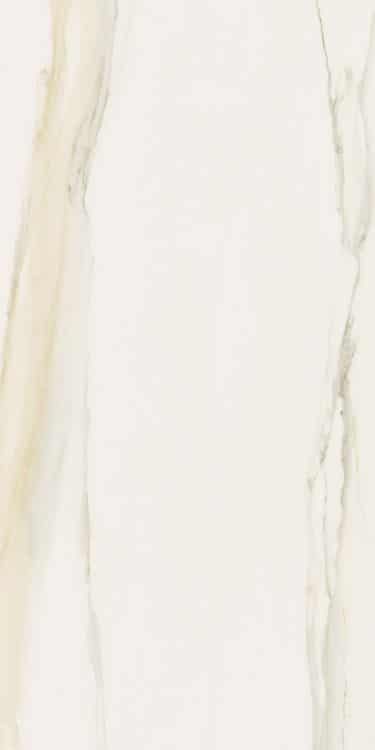 Classici Calacatta Gold Glossy 12 x 24