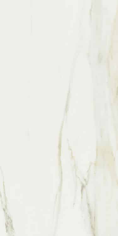 Classici Calacatta Gold Glossy 24 x 48