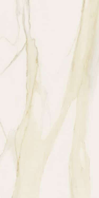 Classici Calacatta Gold Matte 12 x 24