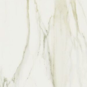 Classici Calacatta Gold Matte 24 x 48