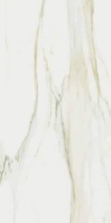 Classici Calacatta Gold Matte 24 x 48
