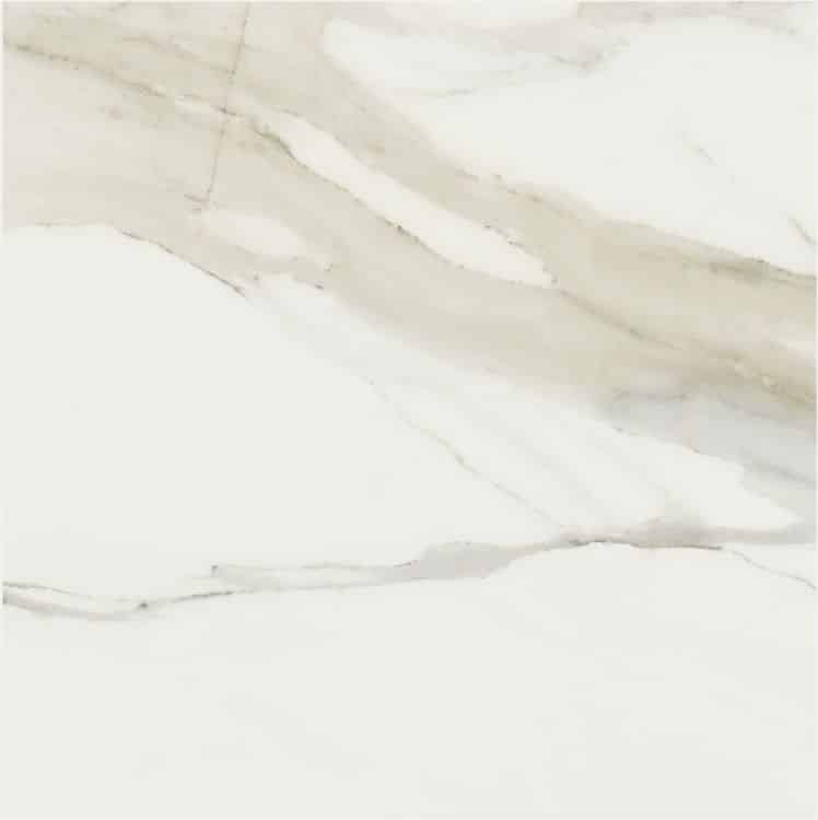 Classici Calacatta Gold Matte 32 x 32