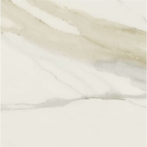 Classici Calacatta Gold Matte 48 x 48