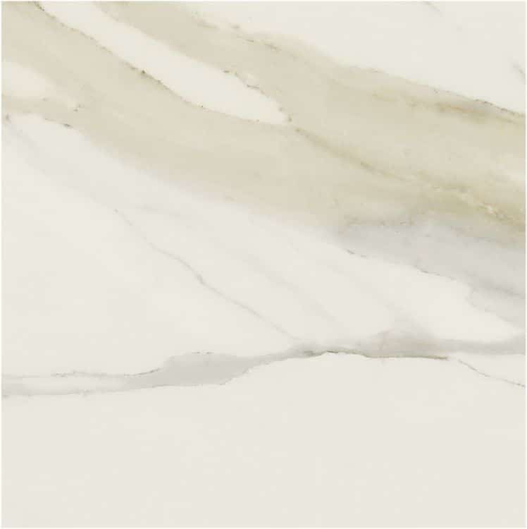 Classici Calacatta Gold Matte 48 x 48