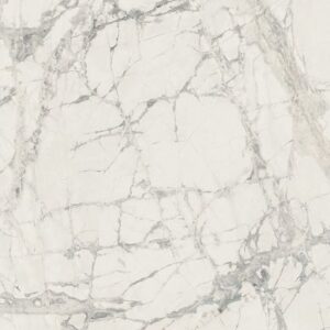 Prexious Mountain Treasure Glossy 24 x 48