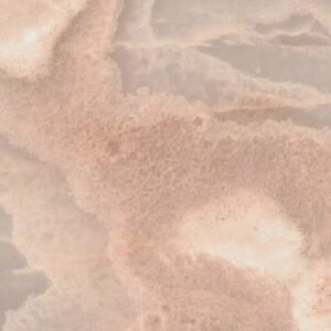 Reves Rose Glossy 12 x 24