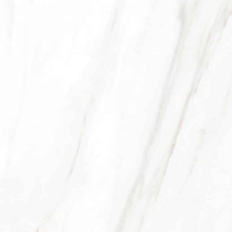 EC Calacatta Gold Matte 24 x 24