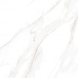 EC Calacatta Gold Matte 24 x 48