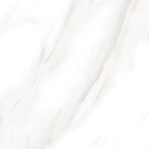 EC Calacatta Gold Polished 12 x 24