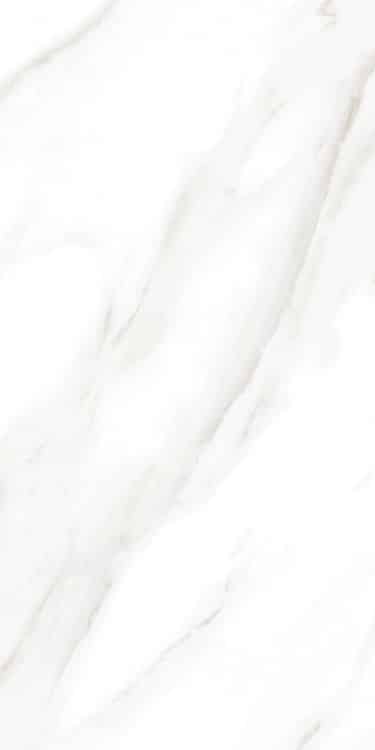 EC Calacatta Gold Polished 12 x 24