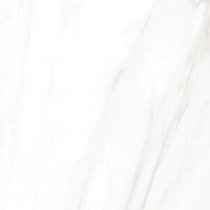 EC Calacatta Gold Polished 24 x 48