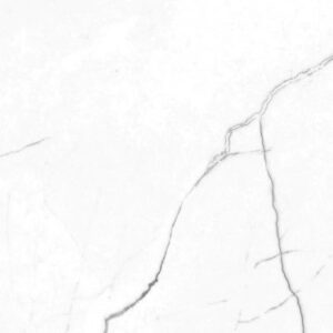 EC Elegance White Polished 12 x 24