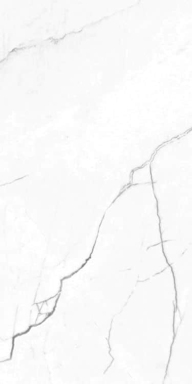 EC Elegance White Polished 12 x 24