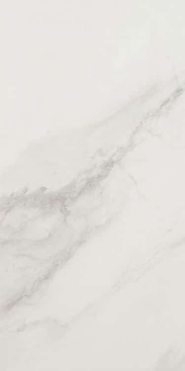 EC Snow Polished 12 x 24