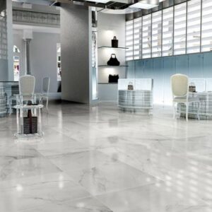 EC Snow Polished 24 x 48