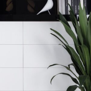 Malaysia EX White Matte 12 x 24