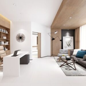 Malaysia EX White Matte 24 x 24