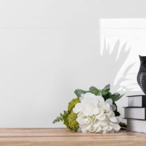 Malaysia EX White Polished 24 x 48