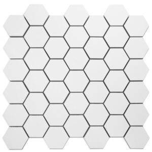 Malaysia Roy White Matte 2 x 2 Hexagon 12 x 12
