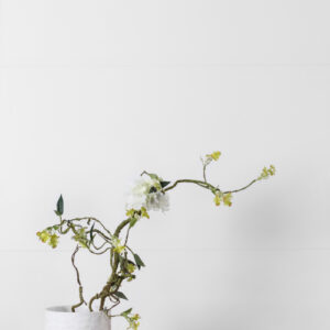 Malaysia Roy White Polished 24 x 24