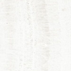 OL Onyx White Matte 24 x 24