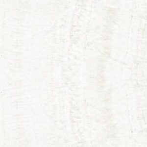 OL Onyx White Matte 24 x 48