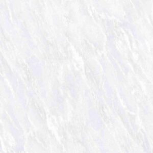 OL Vivid White Polished 12 x 24