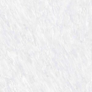 OL Vivid White Polished 24 x 48