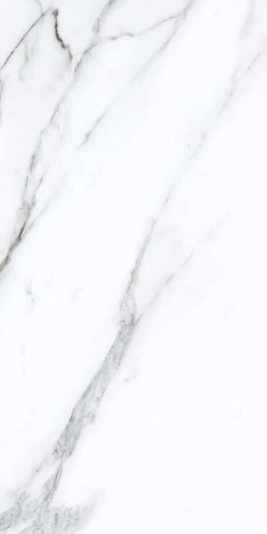 Prestigio Statuario Soft 24 x 48