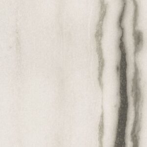 Prexious White Fantasy Matte 12 x 24