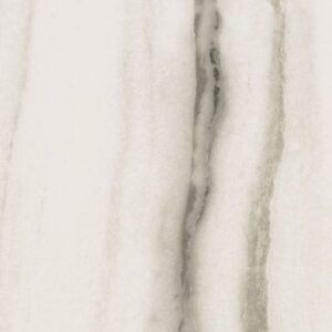 Prexious White Fantasy Matte 24 x 48